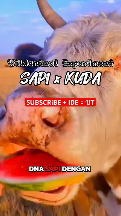 DNA sapi dan Kuda digabung #wildanimalexperiment #fiksi #animal #science