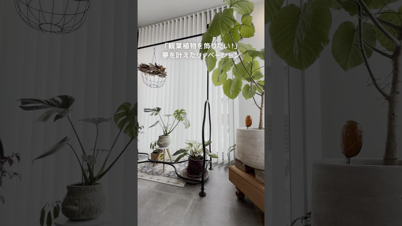 観葉植物を楽しみたい！を実現したリノベーションのご紹介