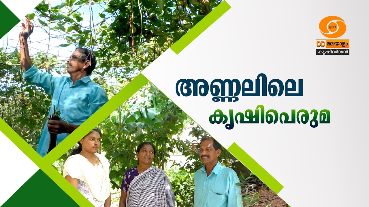 അണ്ണലിലെ കൃഷിപ്പെരുമ || DOORDARSHAN || KRISHIDARSHAN || #sustainableagriculture #farming #trending