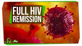 The Second-Ever Case of Full HIV Remission | SciShow News The Second-Ever Case of Full HIV Remission | SciShow News