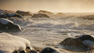 Famous Relaxing Classical Music | Gentle Snowfall Serenity Net Worth