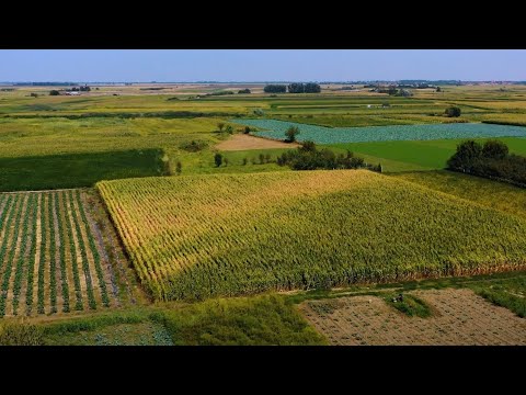 Video: Ko je oznaka geografske oznake u Indiji?