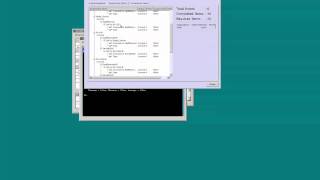 CCNA 1 - Packet Tracer 8.5.1.3