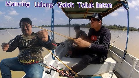 Mancing udang galah di Teluk Intan Perak.Gasak sampai petang..