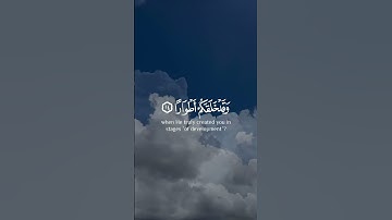 سورة نوح " مَّا لَكُمْ لَا تَرْجُونَ لِلَّهِ وَقَارًا (13) وَقَدْ خَلَقَكُمْ أَطْوَارًا (14) "