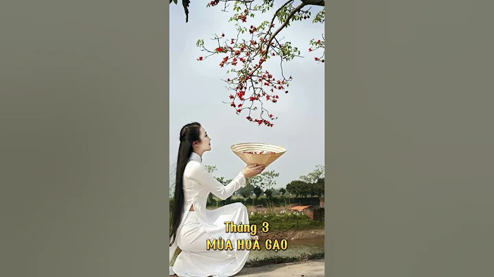 Tháng Ba, Mùa Hoa Gạo Nở Đẹp Nhất _ Uống Trà Thôi