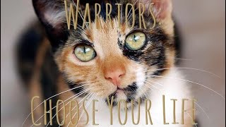 Warriors: Choose your life