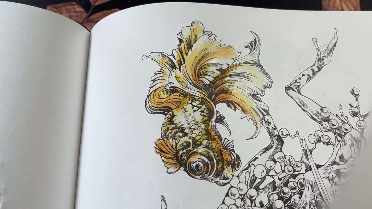 Adult Coloring - Ken Matsuda's Coloring Book - Frog and goldfish