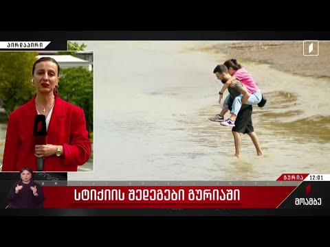 სტიქიის შედეგები გურიაში