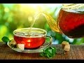 Как выращивают чай.  Как делают чай
