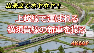 新津配給を上越線で撮る EF64 1030牽引 横須賀線E235系1000番台 F-17編成 11両 2022/6/13