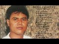 Roel Cortez greatest hits -Roel Cortez full album - Roel Cortez non-stop playllist