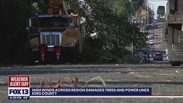 High winds across region damage trees and power lines | FOX 13 Seattle