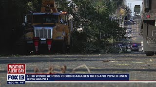 High Winds Across Region Damage Trees And Power Lines | FOX 13 Seattle High Winds Across Region Damage Trees And Power Lines | FOX 13 Seattle