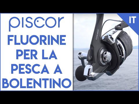 Utilizzo del Fluorine per la Pesca a Bolentino