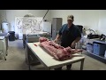 Hog Butchering at Riceland Meadows Farm