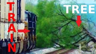 Tree Falls on Tracks in Front of Fast Moving Train