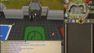 Small Little Bug On SpawnScape