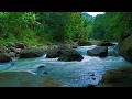 Mountain Stream Water Sounds White Noise for Sleep, Focus, Studying