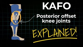 Orthotic Knee Joint Design: Why Posterior Offset Improves Stability