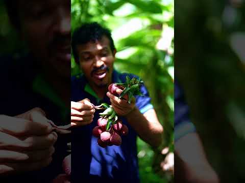 Looks strange but interesting 😋