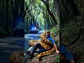 Police officer Rescue at the Forest Roadside. #anaconda #policerescue #rescueshorts