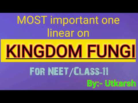 Kingdom Fungi most important MCQ's