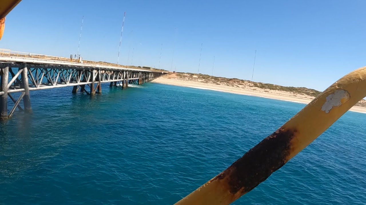 Exmouth Navy Pier Dive - July 2023