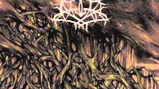 Krallice - Cnestorial