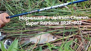 Jackson cheiron super rainbow sr2f602