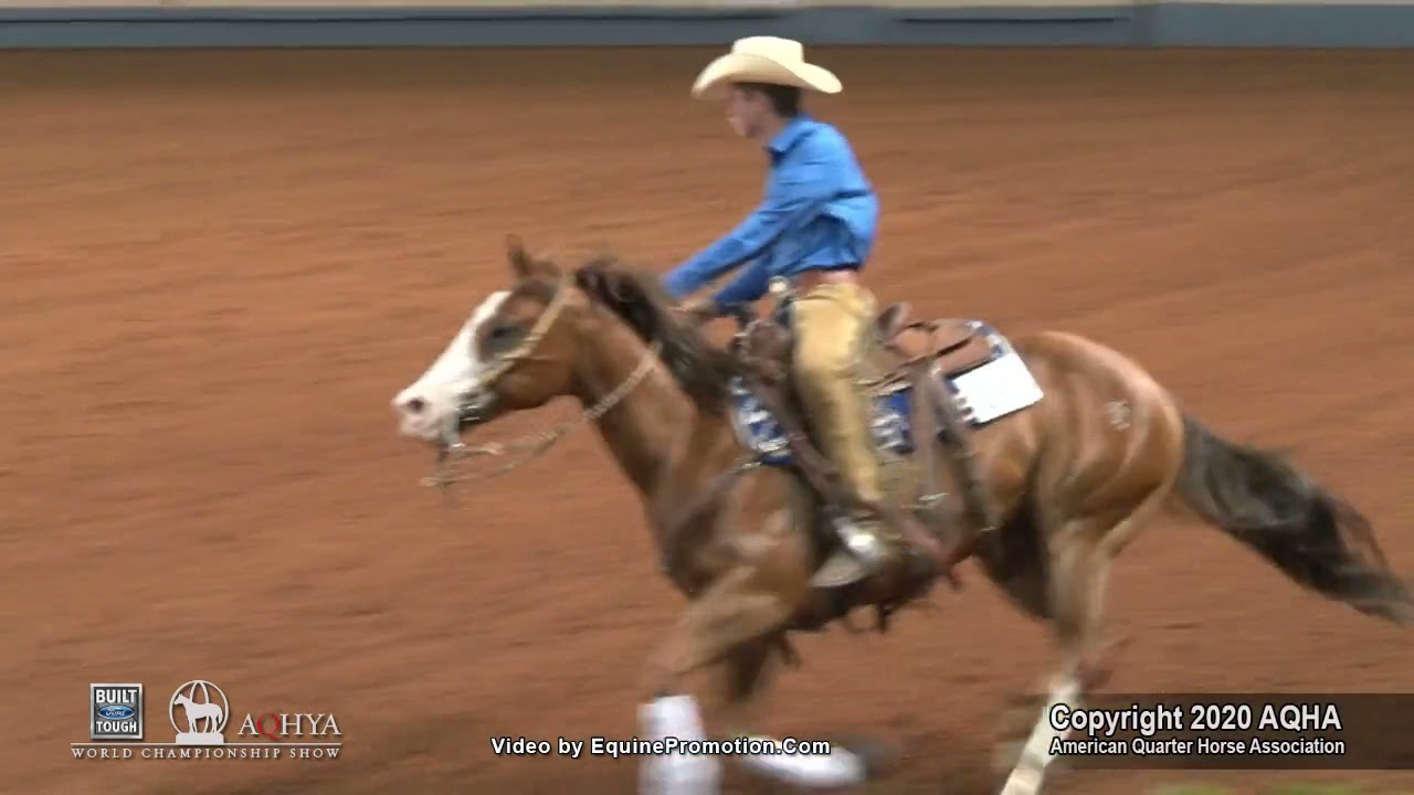 PLAYINHARDTOFORGET shown by ROBERT TELL BAGLEY   2020 Ford Youth World L1 Reining