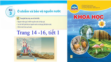 Khoa học 4, Bài 3 Ô nhiễm và bảo vệ nguồn nước, tiết 1, Chân trời sáng tạo, trang 14-16, học kì 1,