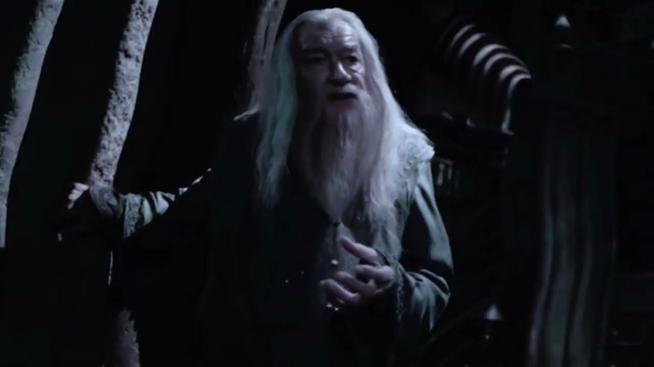 Северус Снейп и Альбус Дамблдор в клипе Брат за брата заказ