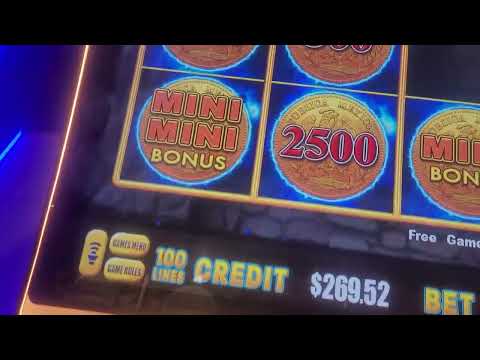 ¡Noches de Juego, Noches de Casino!