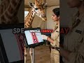 How Giraffes Don't Die When They Bend Down (Mind-Blowing)