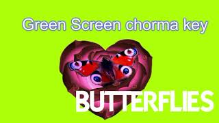 бАБОЧКА- Butterflies Green Screen (chorma key)