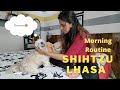 SHIH TZU  AND LHASA APSO DOG | MONSOON MORNING ROUTINE | DOG VLOG |