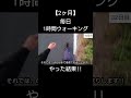 2ヶ月毎日1時間ウォーキングやった結果[−6.9kg][脂肪燃焼] #ダイエット #検証