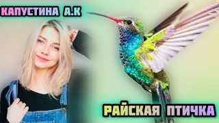 Саша Квашеная | Райская Птичка 🐦🪺(Авторская)