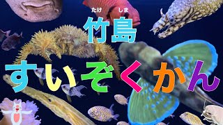 深海生物がたくさん！竹島水族館