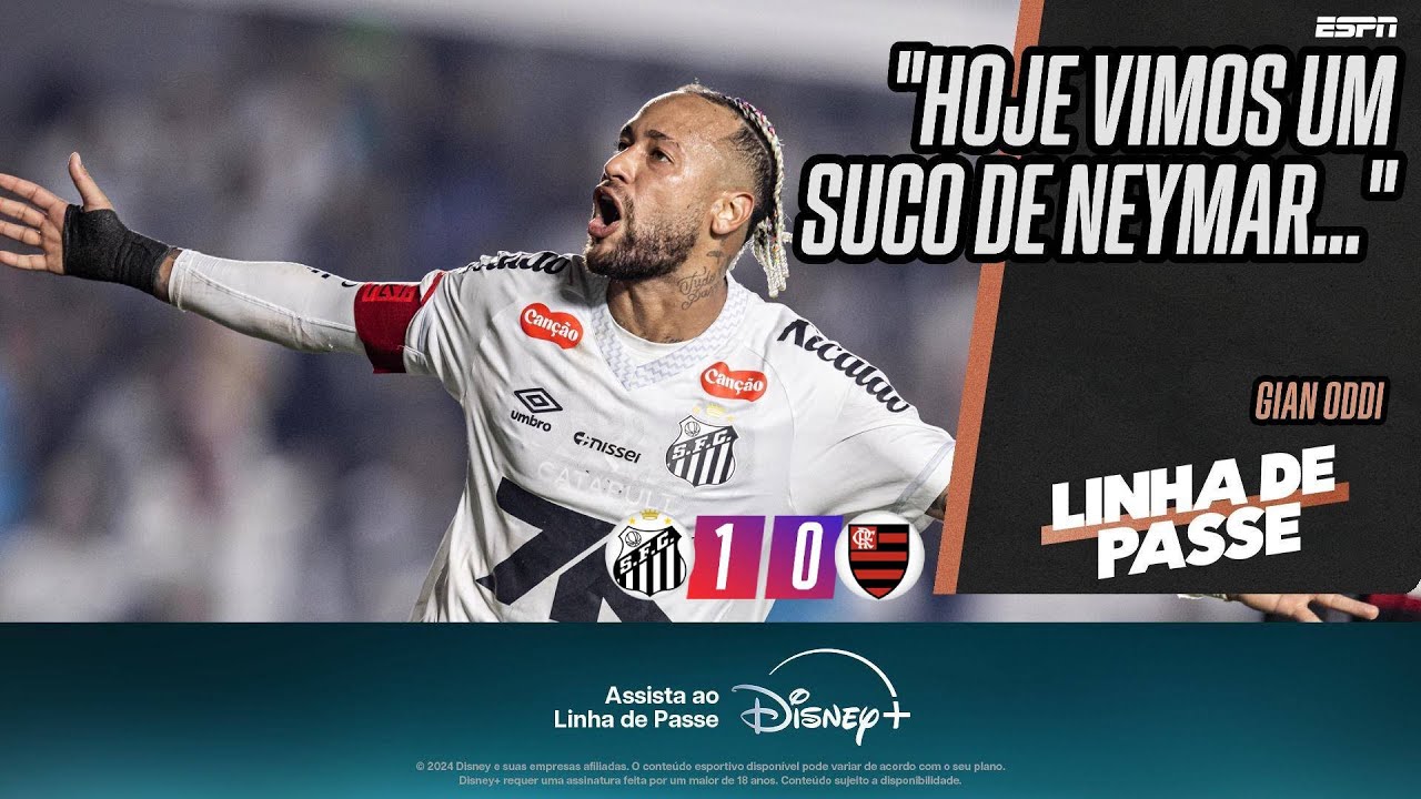 SANTOS vence FLAMENGO com gol de NEYMAR I 'PURO SUCO do jogador ...