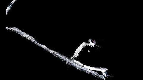 Point cloud (XYZ+RGB)