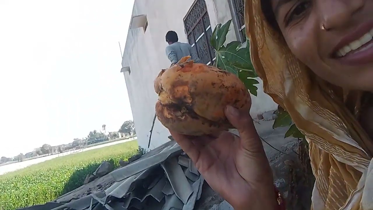 Aaj humne khet mein jakar ped se papita Toda 😜🤣🤣🏃# long video# trending video# YouTube search video