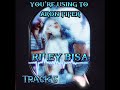 Riley bisa aron pipervisualizer