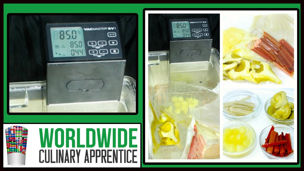 sous-vide-and-precision-cooking-how-to-cook-sous-vide-vacmaster