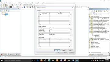 Subtypes and Domains