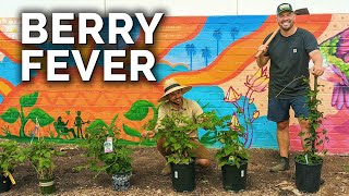 We've Got Berry Fever! | Planting Blueberries, Blackberries and Raspberries