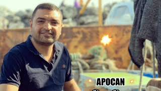 Apocan Şine Şine Resimi