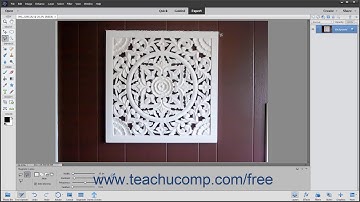 Photoshop Elements 2020 Tutorial The Magnetic Lasso Tool Adobe Training