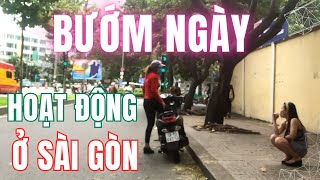 Bướm Ngày Hoạt Động Bắt Khách Í Ới Ở Sài Gòn 3 Xị 1 Nháy E Bao Phòng Sài Gòn Vlog